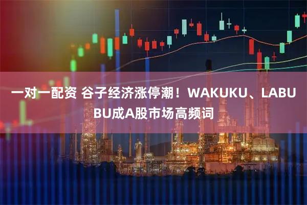 一对一配资 谷子经济涨停潮!WAKUKU、LABUBU成A股市场高频词