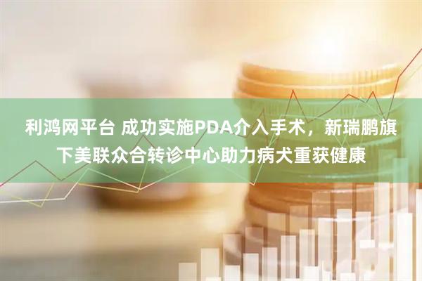 利鸿网平台 成功实施PDA介入手术，新瑞鹏旗下美联众合转诊中心助力病犬重获健康
