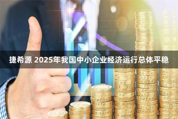 捷希源 2025年我国中小企业经济运行总体平稳